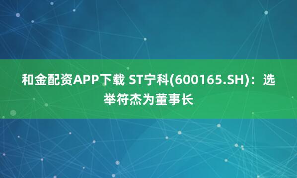 和金配资APP下载 ST宁科(600165.SH)：选举符杰为董事长