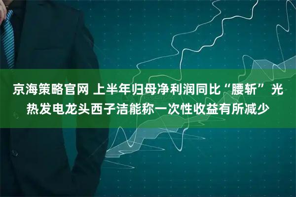 京海策略官网 上半年归母净利润同比“腰斩” 光热发电龙头西子洁能称一次性收益有所减少